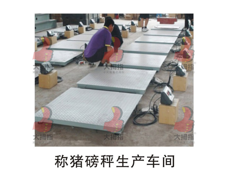 大拇指地磅